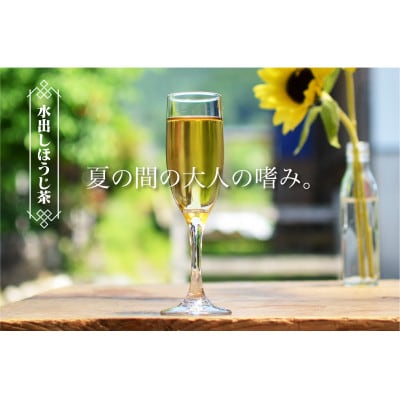 【夏を涼しく!】和束産 水出しほうじ茶5種飲み比べセット(30g×5種)【1639829】