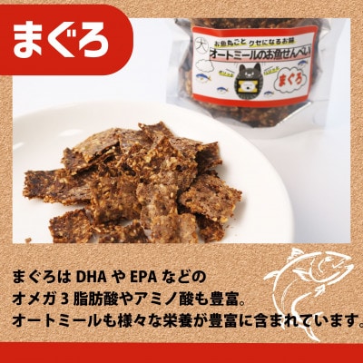 【ペット用】オートミールのお魚せんべい2種 80g (20g×各2袋) 専用箱付き【1545345】