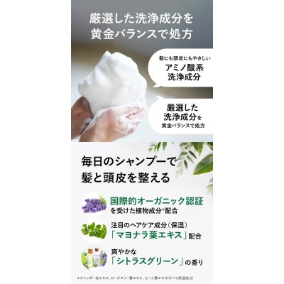 VITALISM バイタリズム スカルプシャンプー＆コンディショナー(500ml) 3セット 男性用【1596360】