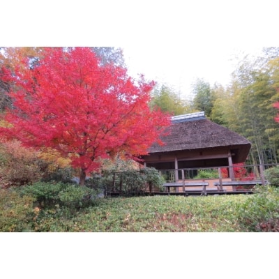 〈1組限定〉けいはんな記念公園ガイド　-日本庭園・里山の楽しみ方-【1209255】