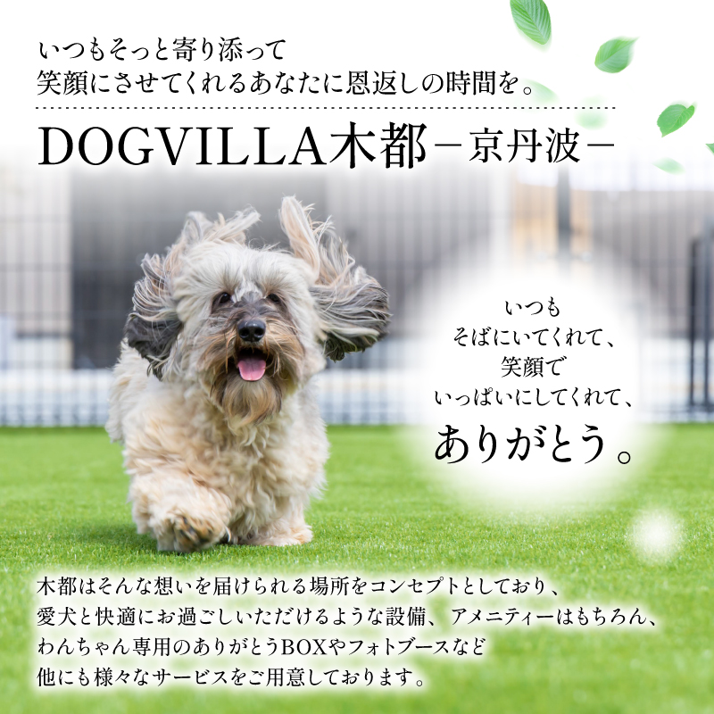 DOGVILLA木都 ー京丹波ー ~愛犬と一緒に泊まれる宿~ ご利用補助券　15,000円分