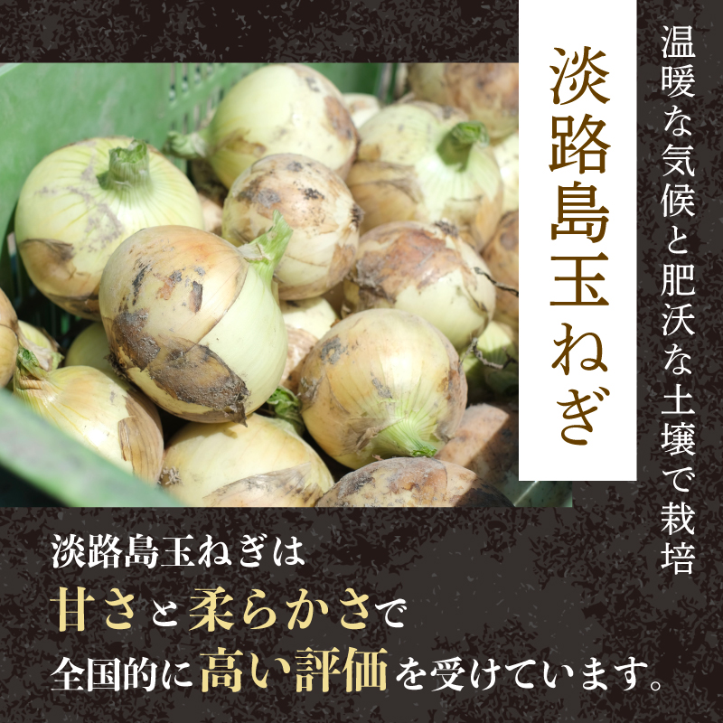 黿¯åç ãã³ããŒã° 200gÃ20å 4ã 䞹波ç ãã©ã³ãç åœç£ 京éœåºç£ 黿¯ åç è ç çè åãæœã è±è 淡路島 çãã ããŸãã å·å ç空 å°åã åå
è£
ãåŒåœ ããã æ£è ãæ£è ç°¡å 調ç èŽ
æ²¢ ã®ãã èŽãç© èŽç äº¬éœ äº¬äž¹æ³¢çº 20000å