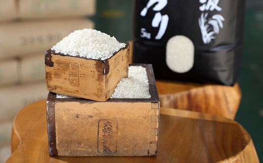 京丹波こしひかり 10kg 訳あり 《 数量限定 》 令和7年産 京都 精米 白米 コシヒカリ ※北海道・沖縄・その他離島は配送不可