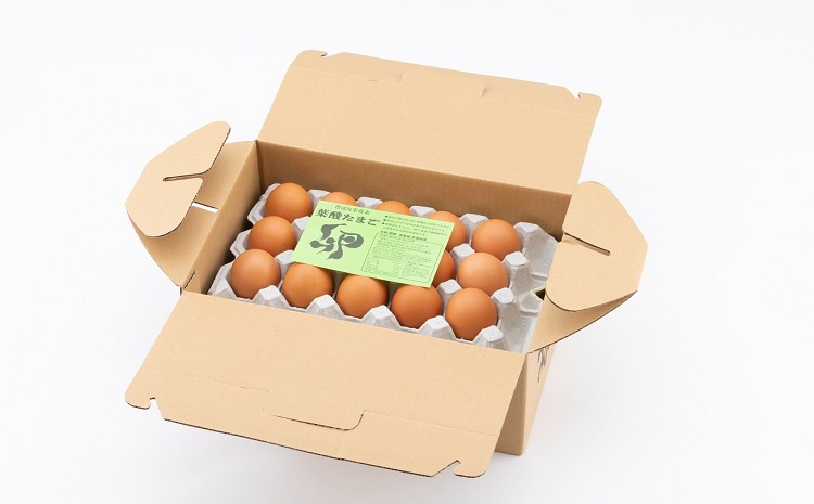 【定期便】葉酸たまごの定期便 6カ月連続 ※北海道・東北・沖縄・その他離島は配送不可