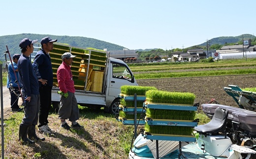 【12回定期便】《 先行予約 》 きぬひかり 京丹波町産 5kg 12カ月定期便 合計60kg 令和8年産米 精米 お米 京都 丹波 キヌヒカリ 特A獲得 産地直送 ※北海道・東北・沖縄・その他離島は配送不可 [178OK001R]