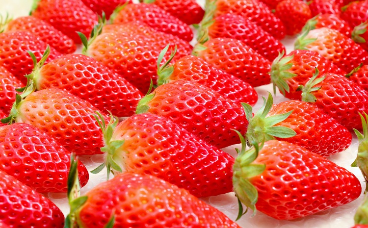 あきひめのコンフィチュール6個セット