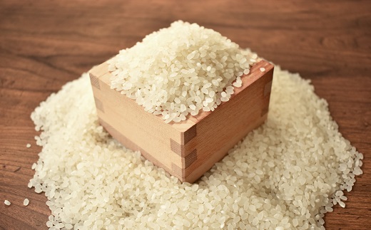 【3回定期便】《 新米先行予約 》2025年9月発送開始 長老米 10kg×3カ月連続 総量30kg 令和7年産 新米 京都 京丹波町産 米 コシヒカリ 清流育ち 栽培地域限定 ※北海道・東北・沖縄・その他離島は配送不可