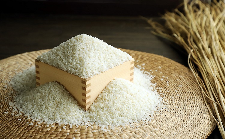 《 先行予約 》 こしひかり 京丹波町産 5kg 令和8年産米 精米 お米 京都 丹波 コシヒカリ 特A獲得 産地直送 ※北海道・沖縄は配送不可 [012OK002]