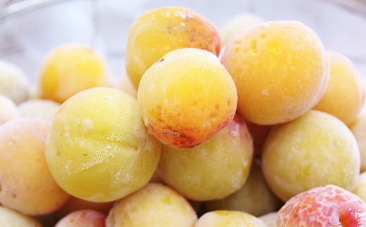 丹波・梅ピューレ3種詰め合わせ UMEUME（梅）・YUZUUME（柚子梅）UMEBERRY（梅ベリー） 京都 丹波 完熟梅 無添加 5倍希釈 315ml