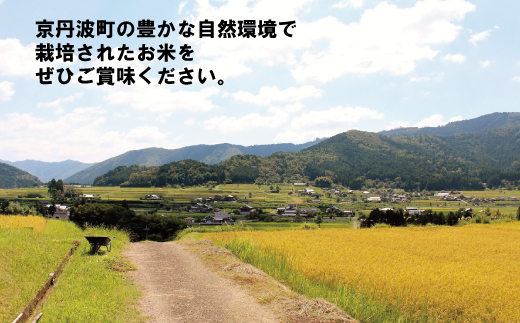 京丹波町産 もち米 6kg（3kg×2袋） 新羽二重糯 餅 もち 餅米 小分け 国産 京都 丹波 お正月  ※北海道・沖縄・その他離島は配送不可