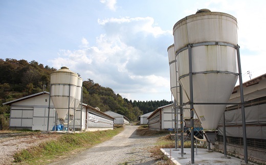 京赤地どり  むね肉 もも肉 バラ凍結 300g×各4パック 合計8パック2.4kg 北海道・沖縄・その他離島は配送不可 [024CS001]