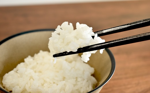 《 新米先行予約 》2025年9月発送開始 京丹波の清流育ち長老米 10kg（2kg×5袋） 小分けタイプ 令和7年産 新米 京都 京丹波町産 米 コシヒカリ 栽培地域限定 ※北海道・沖縄・その他離島は配送不可