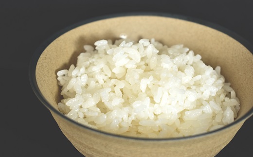 《 新米先行予約 》2025年9月発送開始 京丹波の清流育ち長老米 10kg（2kg×5袋） 小分けタイプ 令和7年産 新米 京都 京丹波町産 米 コシヒカリ 栽培地域限定 ※北海道・沖縄・その他離島は配送不可