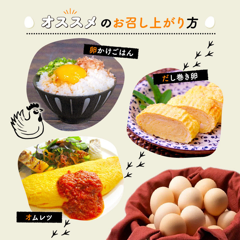 【定期便】赤たまご 20個 6回 毎 月 6カ月 定期 お届け こだわり 卵 たまご 濃い 玉子 セット 玉 子焼き 卵焼き オムレツ 卵かけ ご飯 ゆで卵 鶏卵 卵黄 ※北海道・東北・沖縄・その他離島は配送不可 [026MF001R]