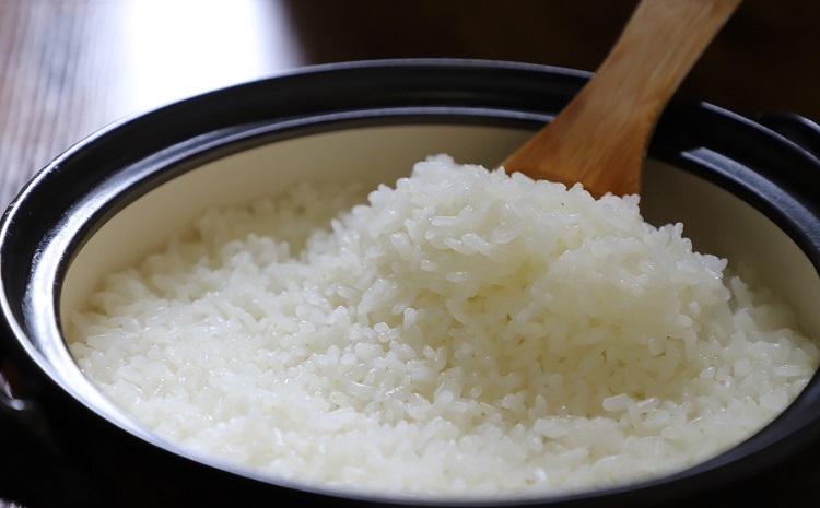 《 先行予約 》 こしひかり 京丹波町産 5kg 令和8年産米 精米 お米 京都 丹波 コシヒカリ 特A獲得 産地直送 ※北海道・沖縄は配送不可 [012OK002]