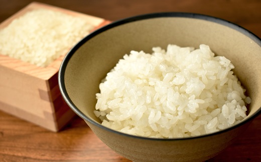 《 新米先行予約 》2025年9月発送開始 京丹波の清流育ち長老米 5kg（5kg×1袋） 令和7年産 新米 京都 京丹波町産 米 コシヒカリ 栽培地域限定 ※北海道・沖縄・その他離島は配送不可