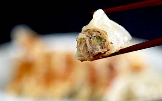 京丹波餃子 64個（16個入り×4ケース） 8人前 京丹波ぽーく ぎょうざ ギョウザ 塩ポン酢付き 京丹波ラディッシュ 京丹波産野菜 国産 豚肉 ポーク オリジナル ブランド ご当地グルメ お取り寄せ ※北海道・沖縄・その他離島は配送不可 [015KT001]