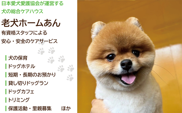 老犬ホーム あん施設利用券（6,000円分） 犬専用総合ケアハウス 愛犬愛護活動　[020RA001]