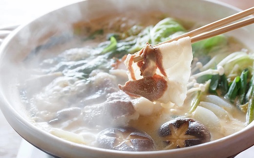 京丹波産 猪肉 600g （200g×3パック）  3～4人前 ぼたん鍋 鍋 天然 ジビエ しし肉 焼肉 京都 丹波 郷土料理  ※北海道・沖縄・その他離島は配送不可 [027KD001]