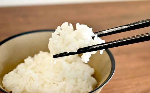 【12回定期便】《 先行予約 》 きぬひかり 京丹波町産 5kg 12カ月定期便 合計60kg 令和8年産米 精米 お米 京都 丹波 キヌヒカリ 特A獲得 産地直送 ※北海道・東北・沖縄・その他離島は配送不可 [178OK001R]