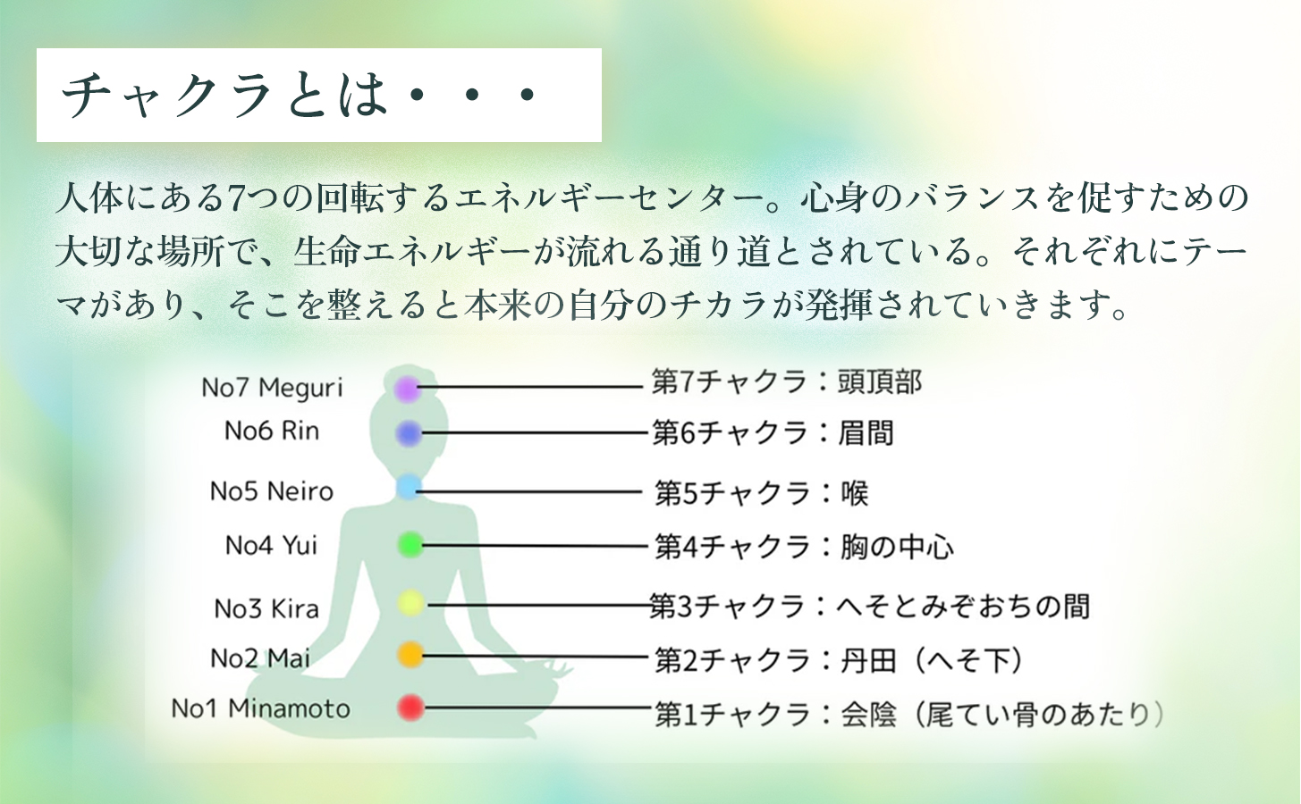 オーガニックハーブティー 無添加 ノンカフェイン No5 Neiro 響きの光 第5チャクラ 30g（1袋）自然栽培 ギフト プレゼント[012PT005]