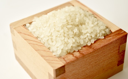 《 新米先行予約 》2025年9月発送開始 京丹波の清流育ち長老米 5kg（5kg×1袋） 令和7年産 新米 京都 京丹波町産 米 コシヒカリ 栽培地域限定 ※北海道・沖縄・その他離島は配送不可