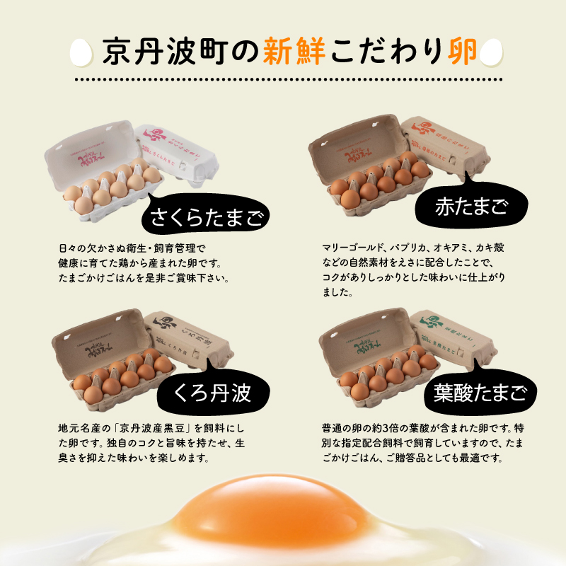 【定期便】赤たまご 20個 6回 毎 月 6カ月 定期 お届け こだわり 卵 たまご 濃い 玉子 セット 玉 子焼き 卵焼き オムレツ 卵かけ ご飯 ゆで卵 鶏卵 卵黄 ※北海道・東北・沖縄・その他離島は配送不可 [026MF001R]