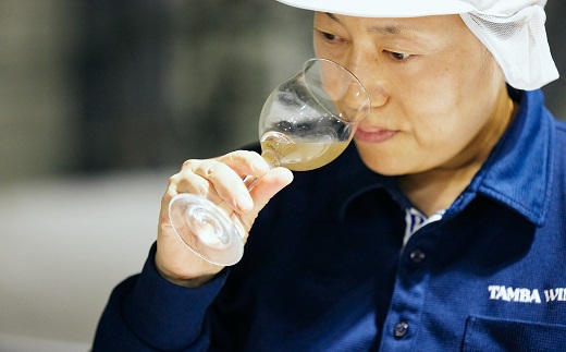 丹波ワイン酸化防止剤無添加スパークリング「てぐみ」ロゼ2本セット　【国産ぶどう使用 国産ワイン ロゼワイン ワイン スパークリングワイン】