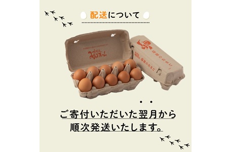 京都 こだわり卵 赤たまご 約80個 5kg たまご 濃い 玉子  玉子焼き 卵焼き オムレツ 卵かけご飯 ゆで卵 鶏卵 卵黄 ※北海道・沖縄・その他離島は配送不可 [010MF004]