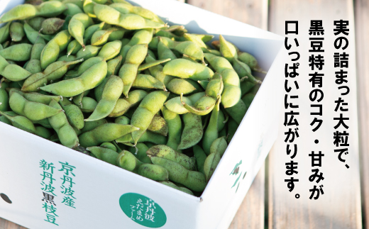 新丹波黒 枝豆 千年枝豆 ２kg さや 京都 丹波 京丹波町産 期間限定 生産者限定 国産 こだわり 厳選 黒豆 枝豆 おつまみ [015HY001L]