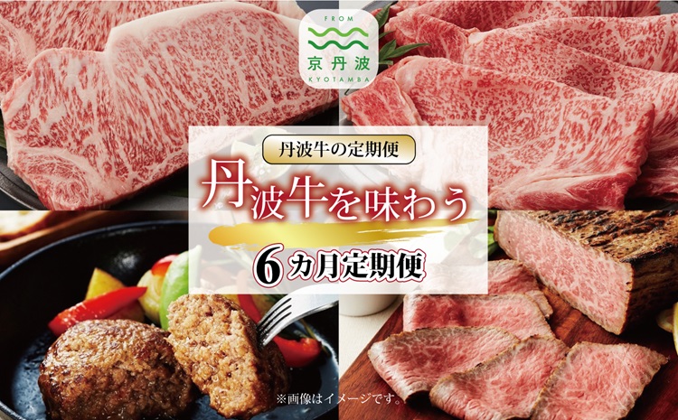 【6回定期便】丹波牛を味わう定期便 6カ月連続 定期便 ( 定期便 和牛 黒毛和牛 京都 丹波 丹波牛 牛肉 すき焼き 焼肉 しゃぶしゃぶ 鍋 ステーキ A5 サーロイン ローストビーフ ハンバーグ 手作り 霜ふり 赤身 赤身肉 ) ※北海道・沖縄・その他離島への配送不可 [168IZ001R]