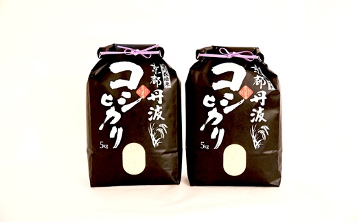 京丹波こしひかり 10kg 訳あり 《 数量限定 》 令和7年産 京都 精米 白米 コシヒカリ ※北海道・沖縄・その他離島は配送不可