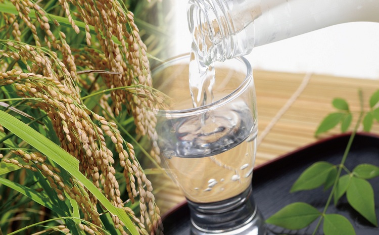 京丹波産100％使用　純米吟醸酒　長老「丹（たん）」　1800ml