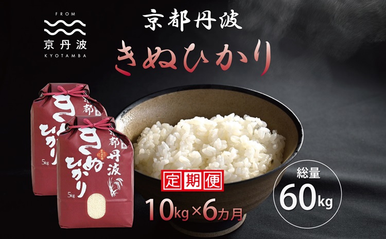 【6カ月定期便】 京丹波きぬひかり 10kg×6カ月連続 合計60kg 令和6年産 新米 京都 米 精米 キヌヒカリ ※北海道・東北・沖縄・その他離島は配送不可 [108MB002R]