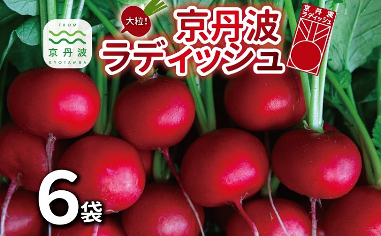 京丹波ラディッシュ 6袋セット 京都 丹波 大粒 ジューシー フルーティー ソテー グリル料理 バーベキュー アヒージョ かき揚げ サラダ スープ ※北海道・沖縄・その他離島への配送不可 [009NM001]