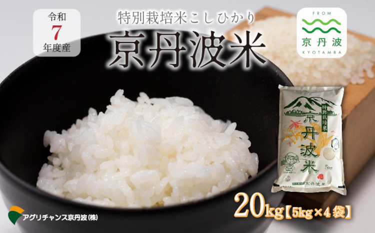 特別栽培米 こしひかり 京丹波町産 20kg 令和7年産米 精米 お米 京都 丹波 コシヒカリ 特A獲得 農家直送 ※北海道・沖縄・その他離島は配送不可 [032AGC001]