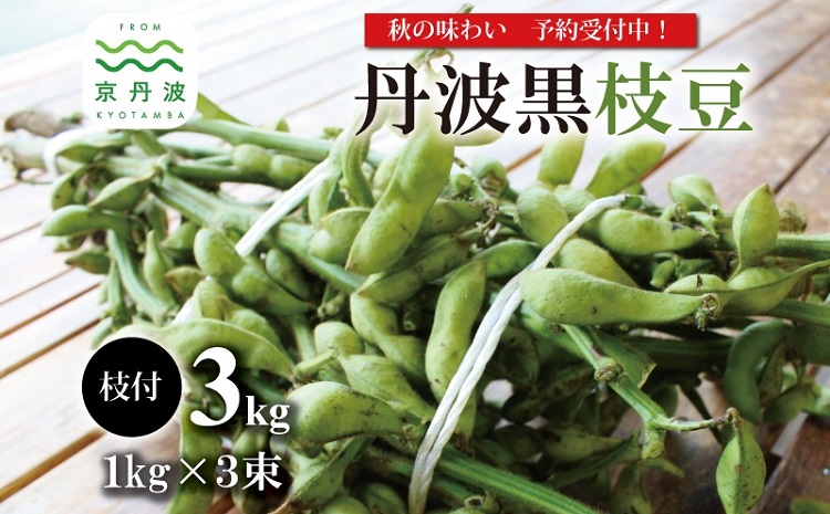 《先行予約》丹波黒枝豆 枝付き 3kg （京都 京丹波町産 丹波黒大豆）≪秋だけの期間限定 数量限定≫【季節限定 おつまみ 枝豆 えだまめ 地域限定 黒豆 ご当地グルメ 特産品】※北海道・東北・沖縄・その他離島は配送不可 [010KK008L]