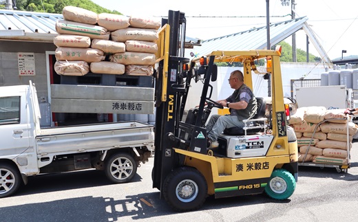 京丹波こしひかり 10kg 令和6年産 新米 京都 米 精米 コシヒカリ ※北海道・沖縄・その他離島は配送不可 [015MB001]