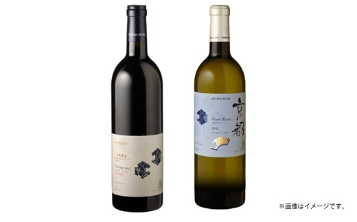 【6回定期便】丹波ワイン 6カ月 定期便 【 丹波ワイン 国産ぶどう使用 国産ワイン 京都 丹波 自社農園 白ワイン 赤ワイン ワイン 】 ※北海道・東北・沖縄・その他離島は配送不可 [170SJ001R]