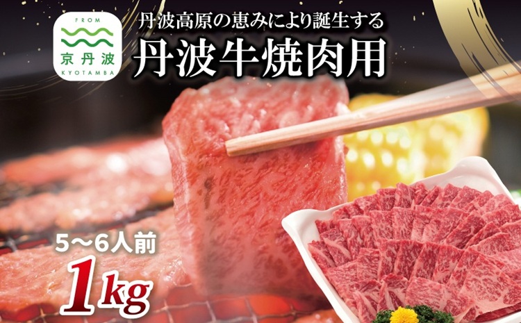 【2026年1月中旬以降発送】 丹波牛 焼肉用 1kg 5～6人前 【 黒毛和牛 国産牛 焼肉 丹波牛 赤身 霜降り 焼肉のタレ付き たれ 京都 丹波 いづつ屋 】 [048IZ001]