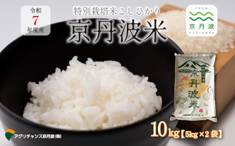 特別栽培米 こしひかり 京丹波町産 10kg 令和7年産米 精米 お米 京都 丹波 コシヒカリ 特A獲得 農家直送 ※北海道・沖縄・その他離島は配送不可 [016AGC001]