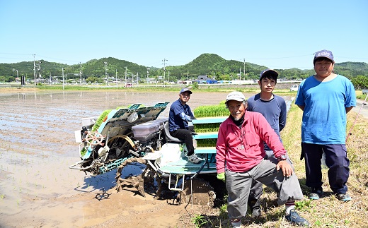 【6回定期便】 《 新米先行予約 》 こしひかり 京丹波町産 5kg 6カ月定期便 合計30kg 令和6年産米 精米 お米 京都 丹波 コシヒカリ 特A獲得  農家直送 ※北海道・東北・沖縄・その他離島は配送不可 [048OK001R]