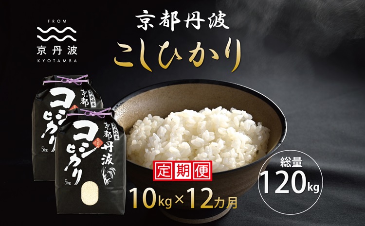 【12カ月定期便】 京丹波こしひかり 10kg×12カ月連続 合計120kg 令和6年産 新米 京都 米 精米 コシヒカリ ※北海道・東北・沖縄・その他離島は配送不可 [216MB001R]