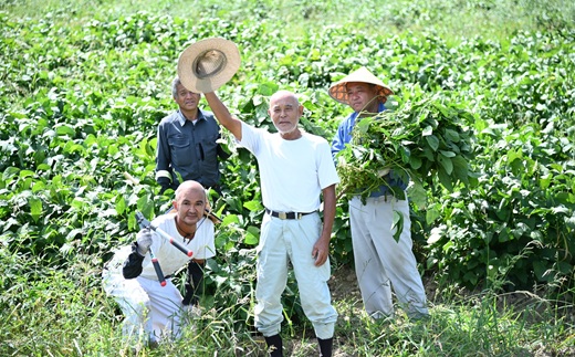 瑞穂大納言小豆 1kg 【地域限定 京丹波町産 ブランド 小豆 あずき あんこ 赤飯 京都 】