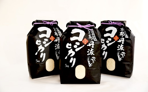 京丹波こしひかり 15kg 訳あり 《 数量限定 》 令和7年産 新米 京都 精米 白米 コシヒカリ ※北海道・沖縄・その他離島は配送不可