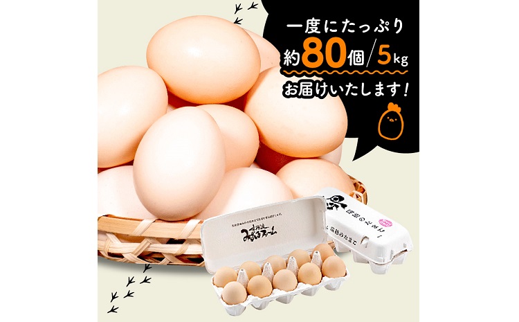 京都 こだわり卵 赤たまご 約80個 5kg たまご 濃い 玉子  玉子焼き 卵焼き オムレツ 卵かけご飯 ゆで卵 鶏卵 卵黄 ※北海道・沖縄・その他離島は配送不可 [010MF004]