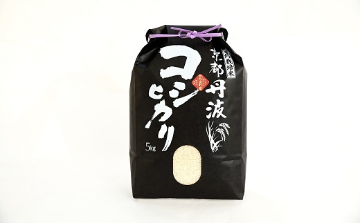 京丹波こしひかり 5kg 訳あり 《 数量限定 》 令和7年産 京都 精米 白米 コシヒカリ ※北海道・沖縄・その他離島は配送不可