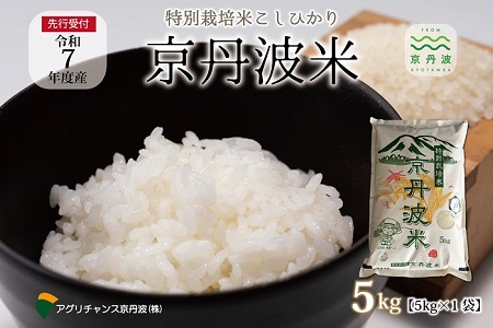 《 新米先行予約 》 特別栽培米 こしひかり 京丹波町産 5kg 令和7年産米 精米 お米 京都 丹波 コシヒカリ 特A獲得 農家直送 ※北海道・沖縄・その他離島は配送不可 [012AGC001]