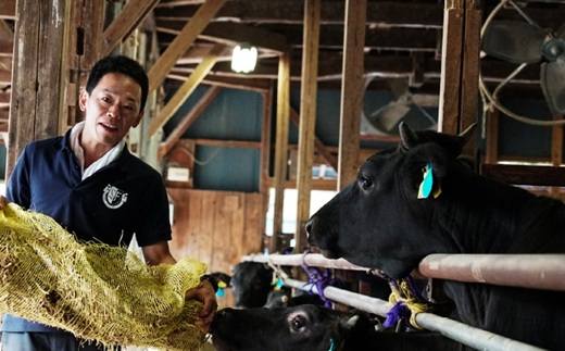 【2026年1月中旬以降発送】 丹波牛 焼肉用 300g 2～3人前 【 黒毛和牛 国産牛 焼肉 丹波牛 赤身 霜降り 焼肉のタレ付き たれ 京都 丹波 いづつ屋 】 [015IZ003]