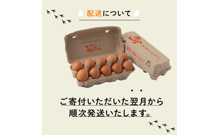 【定期便】赤たまご 30個 3回 毎 月 3カ月 定期 お届け こだわり 卵 たまご 濃い 玉子 セット 玉 子焼き 卵焼き オムレツ 卵かけ ご飯 ゆで卵 鶏卵 卵黄 ※北海道・東北・沖縄・その他離島は配送不可 [019MF002R]